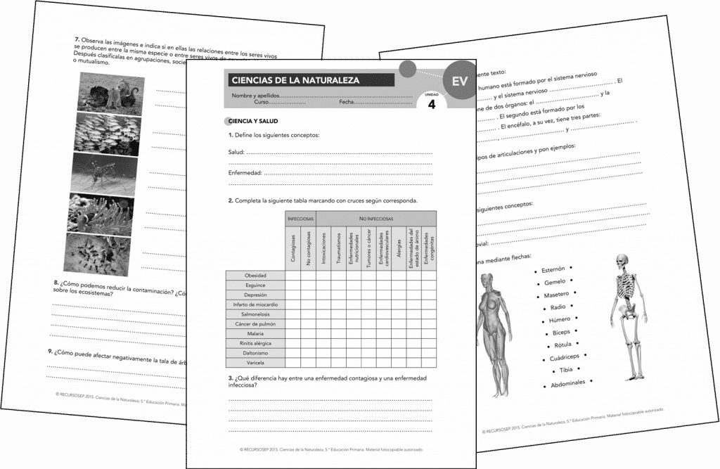 recursos fotocopiables anaya 5 primaria