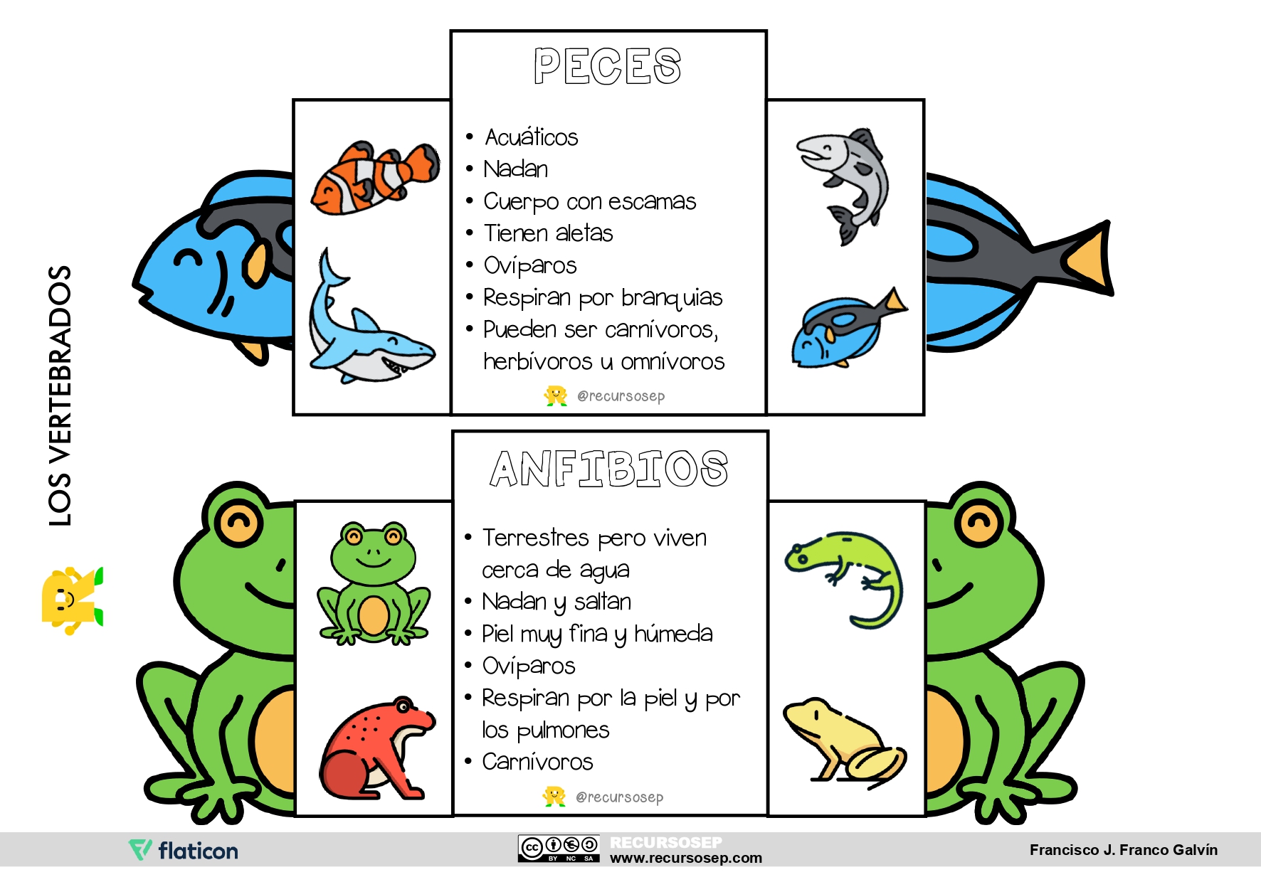 Animales Que Respiran Por La Piel Para Colorear Para Niños / Animales Que Respiran Por La Piel Para Colorear : La ... : Branquia wikipedia la enciclopedia libre.